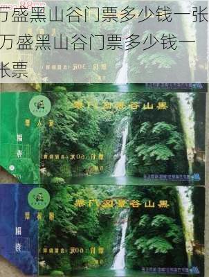 万盛黑山谷门票多少钱一张,万盛黑山谷门票多少钱一张票-第2张图片-动人旅游网