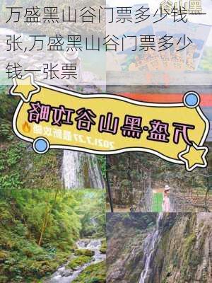 万盛黑山谷门票多少钱一张,万盛黑山谷门票多少钱一张票-第1张图片-动人旅游网