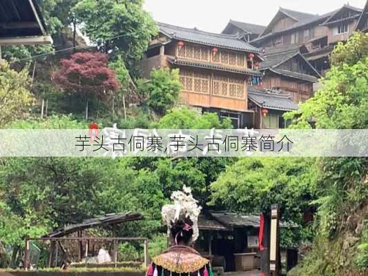 芋头古侗寨,芋头古侗寨简介-第3张图片-动人旅游网