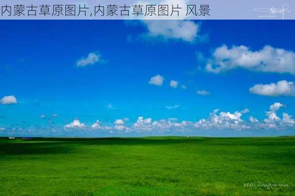 内蒙古草原图片,内蒙古草原图片 风景-第3张图片-动人旅游网