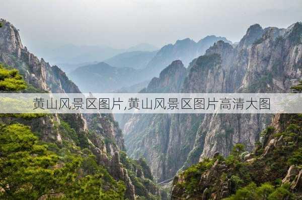 黄山风景区图片,黄山风景区图片高清大图-第2张图片-动人旅游网