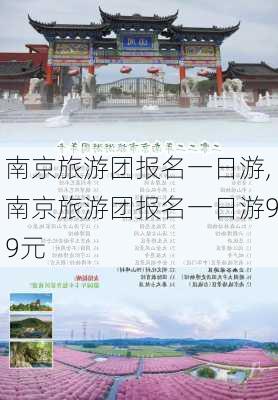 南京旅游团报名一日游,南京旅游团报名一日游99元-第1张图片-动人旅游网