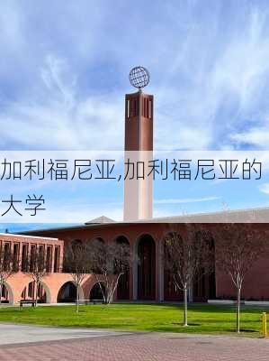 加利福尼亚,加利福尼亚的大学