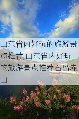 山东省内好玩的旅游景点推荐,山东省内好玩的旅游景点推荐石岛赤山-第3张图片-动人旅游网