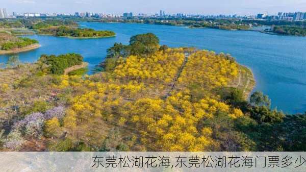 东莞松湖花海,东莞松湖花海门票多少-第1张图片-动人旅游网