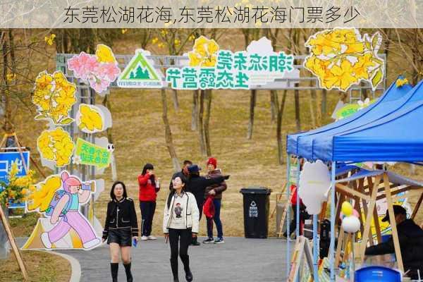 东莞松湖花海,东莞松湖花海门票多少-第3张图片-动人旅游网