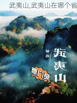 武夷山,武夷山在哪个省-第2张图片-动人旅游网