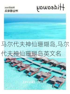 马尔代夫神仙珊瑚岛,马尔代夫神仙珊瑚岛英文名-第1张图片-动人旅游网