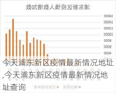 今天浦东新区疫情最新情况地址,今天浦东新区疫情最新情况地址查询-第2张图片-动人旅游网