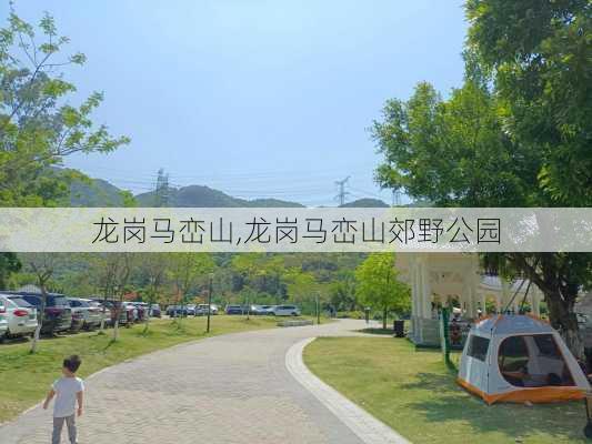 龙岗马峦山,龙岗马峦山郊野公园-第2张图片-动人旅游网