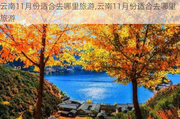 云南11月份适合去哪里旅游,云南11月份适合去哪里旅游-第1张图片-动人旅游网