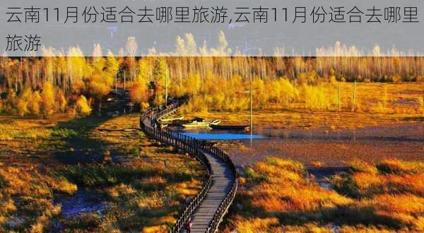 云南11月份适合去哪里旅游,云南11月份适合去哪里旅游-第3张图片-动人旅游网