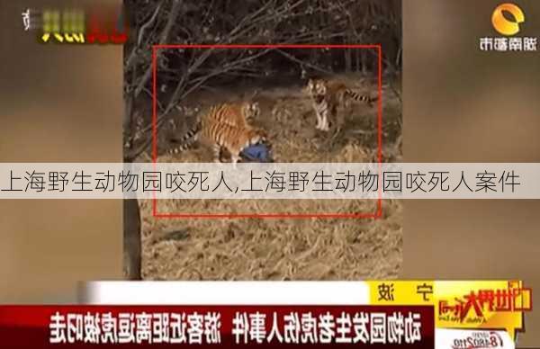 上海野生动物园咬死人,上海野生动物园咬死人案件-第3张图片-动人旅游网