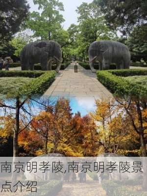 南京明孝陵,南京明孝陵景点介绍-第2张图片-动人旅游网