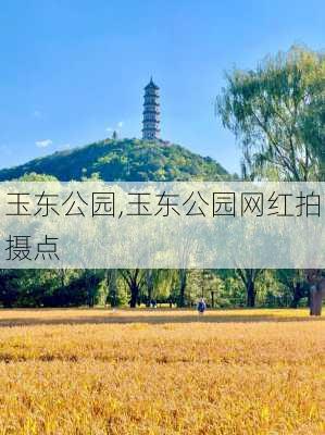 玉东公园,玉东公园网红拍摄点-第3张图片-动人旅游网