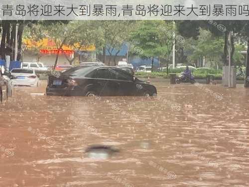 青岛将迎来大到暴雨,青岛将迎来大到暴雨吗