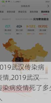 2019武汉传染病疫情,2019武汉传染病疫情死了多少人-第3张图片-动人旅游网