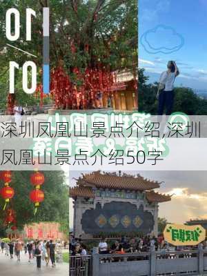 深圳凤凰山景点介绍,深圳凤凰山景点介绍50字-第3张图片-动人旅游网