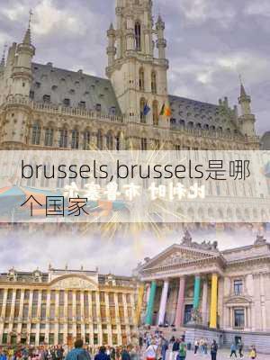 brussels,brussels是哪个国家-第2张图片-动人旅游网