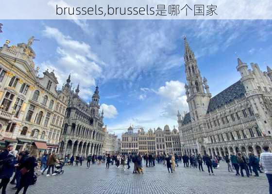 brussels,brussels是哪个国家-第3张图片-动人旅游网