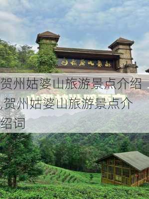 贺州姑婆山旅游景点介绍,贺州姑婆山旅游景点介绍词-第2张图片-动人旅游网