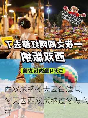 西双版纳冬天去合适吗,冬天去西双版纳过冬怎么样-第2张图片-动人旅游网