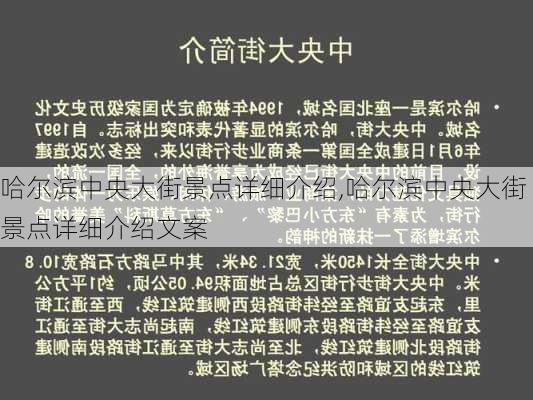 哈尔滨中央大街景点详细介绍,哈尔滨中央大街景点详细介绍文案-第1张图片-动人旅游网