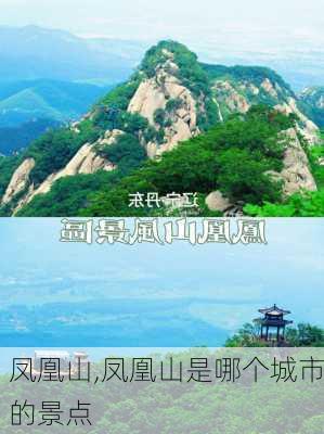 凤凰山,凤凰山是哪个城市的景点-第2张图片-动人旅游网