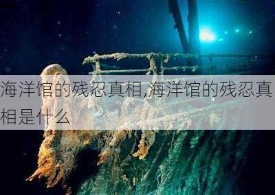 海洋馆的残忍真相,海洋馆的残忍真相是什么-第3张图片-动人旅游网