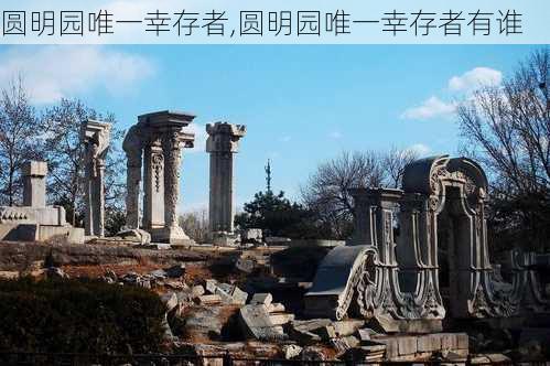 圆明园唯一幸存者,圆明园唯一幸存者有谁-第1张图片-动人旅游网