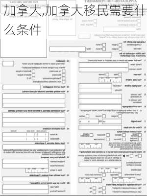 加拿大,加拿大移民需要什么条件-第3张图片-动人旅游网