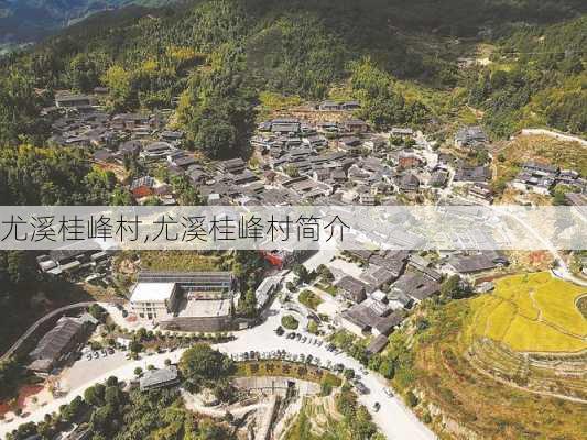 尤溪桂峰村,尤溪桂峰村简介