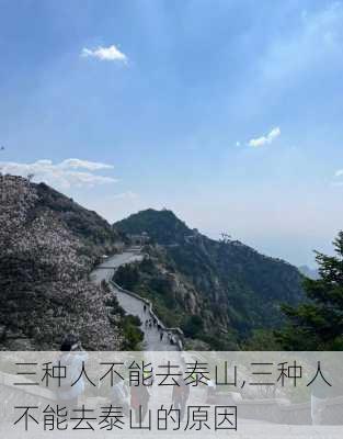 三种人不能去泰山,三种人不能去泰山的原因-第3张图片-动人旅游网