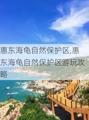 惠东海龟自然保护区,惠东海龟自然保护区游玩攻略-第3张图片-动人旅游网