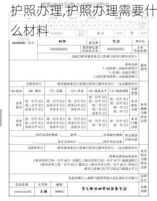 护照办理,护照办理需要什么材料-第2张图片-动人旅游网