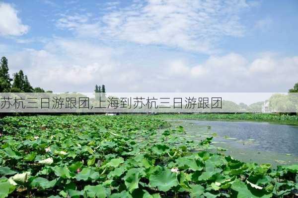 苏杭三日游跟团,上海到苏杭三日游跟团-第3张图片-动人旅游网