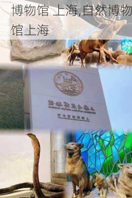 博物馆 上海,自然博物馆上海-第1张图片-动人旅游网